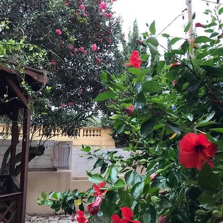 Cosy Avec Jardin Privatif - Carabacel, *