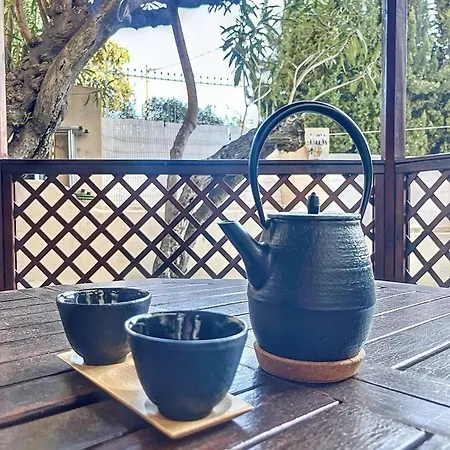 Апартаменты Cosy Avec Jardin Privatif - Carabacel,